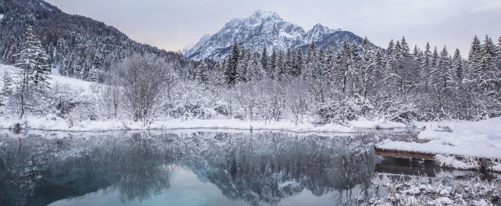 Winter Lake