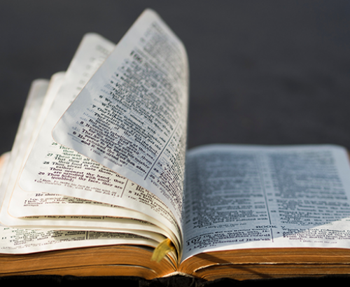 Bibles