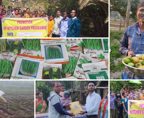 Kitchen Garden Project in India