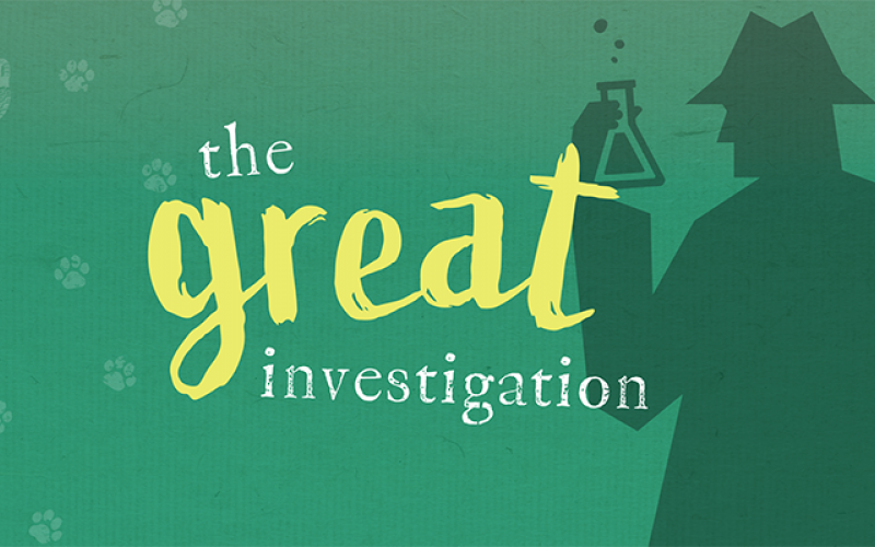 Great Investigation ENG