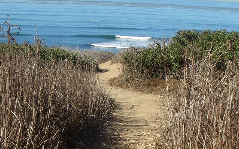 Beach path