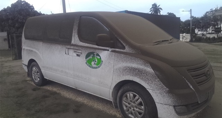 Mango Tree Van
