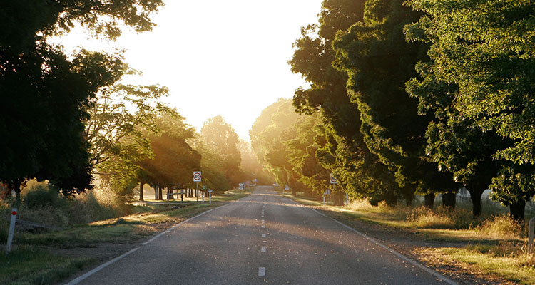 dawn road