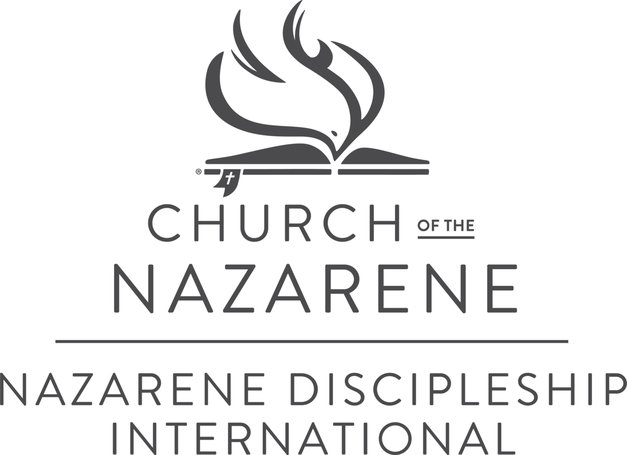 NDI_COTN_Logo_1_Gray_EN