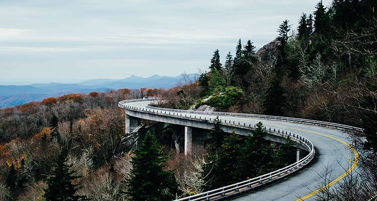 AboveTrees