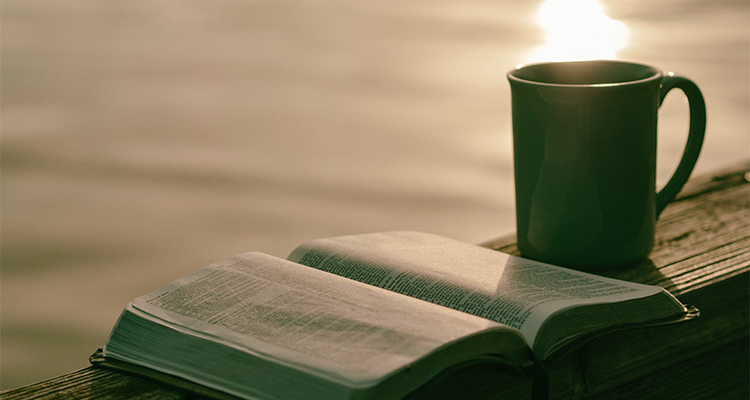 BGS-Bible-Dock