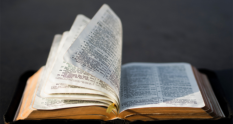 Bibles