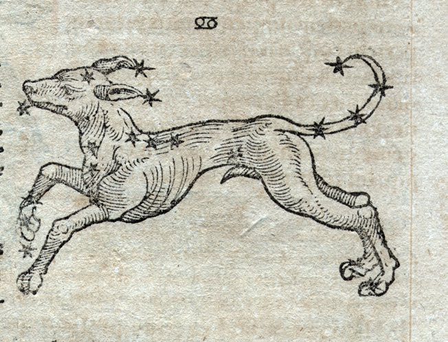 Hound-of-heaven