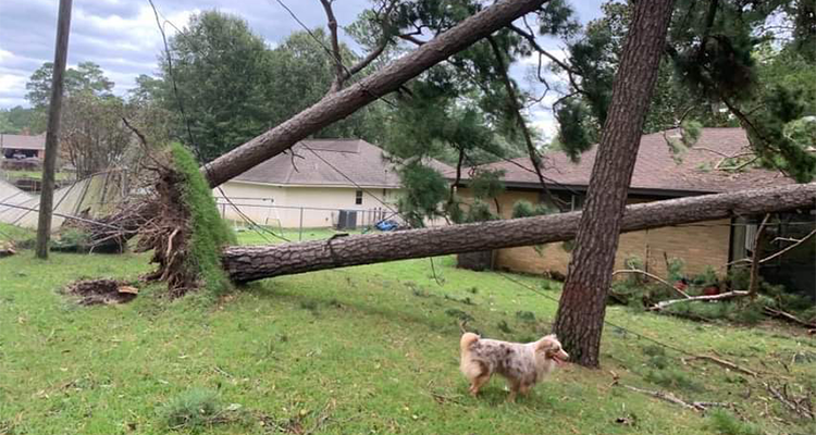 Hurricane-Laura