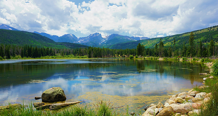 Memoriam-Lilly-lake