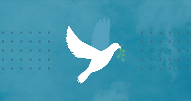 Peace-Dove-Web