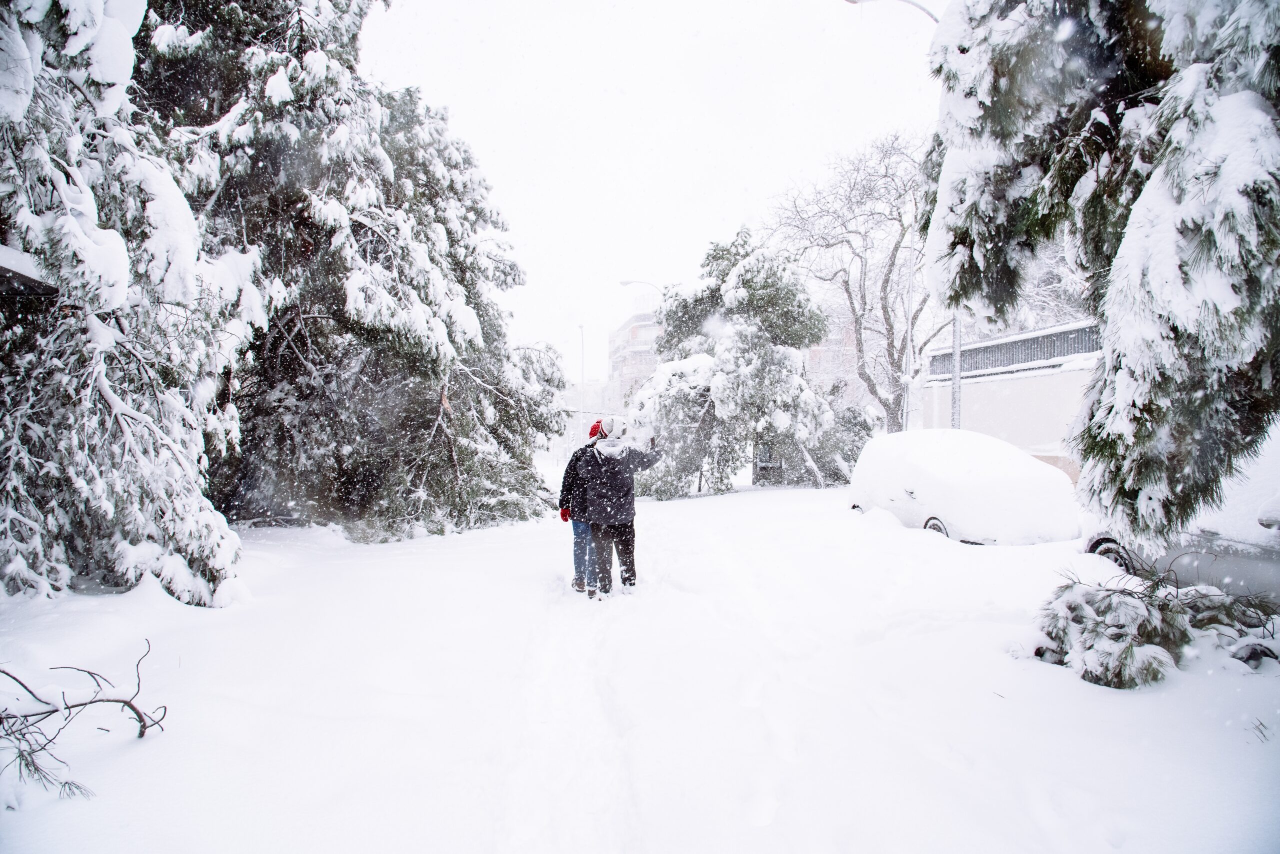 View of a city street covered in snow during heavy snowfall with fallen trees