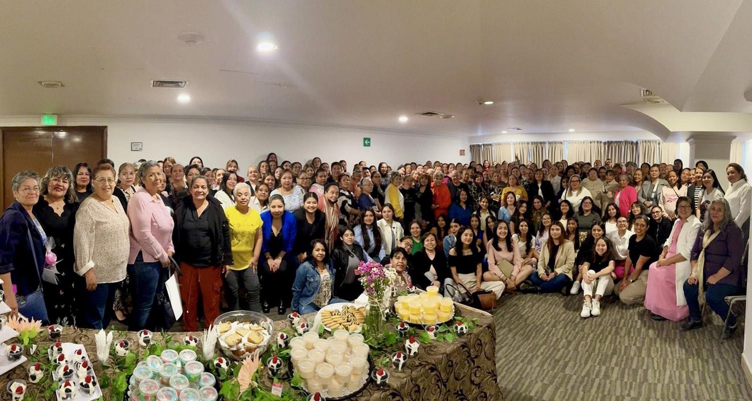 Conectadas