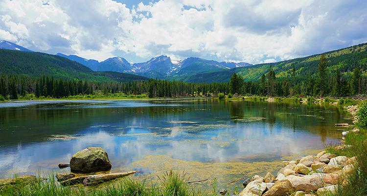 Memoriam Lilly lake