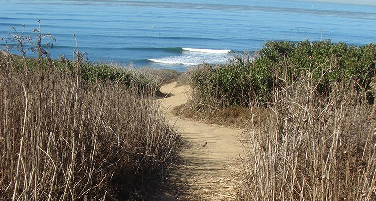 BeachPath