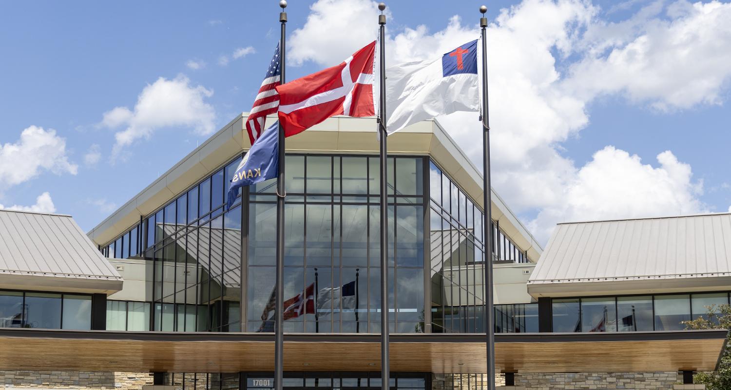 Denmark Flag