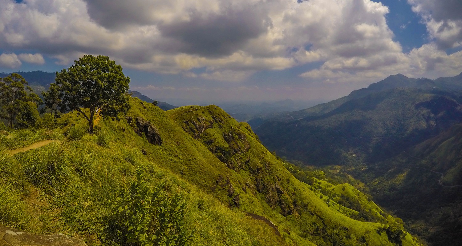 Grassy Mountainside