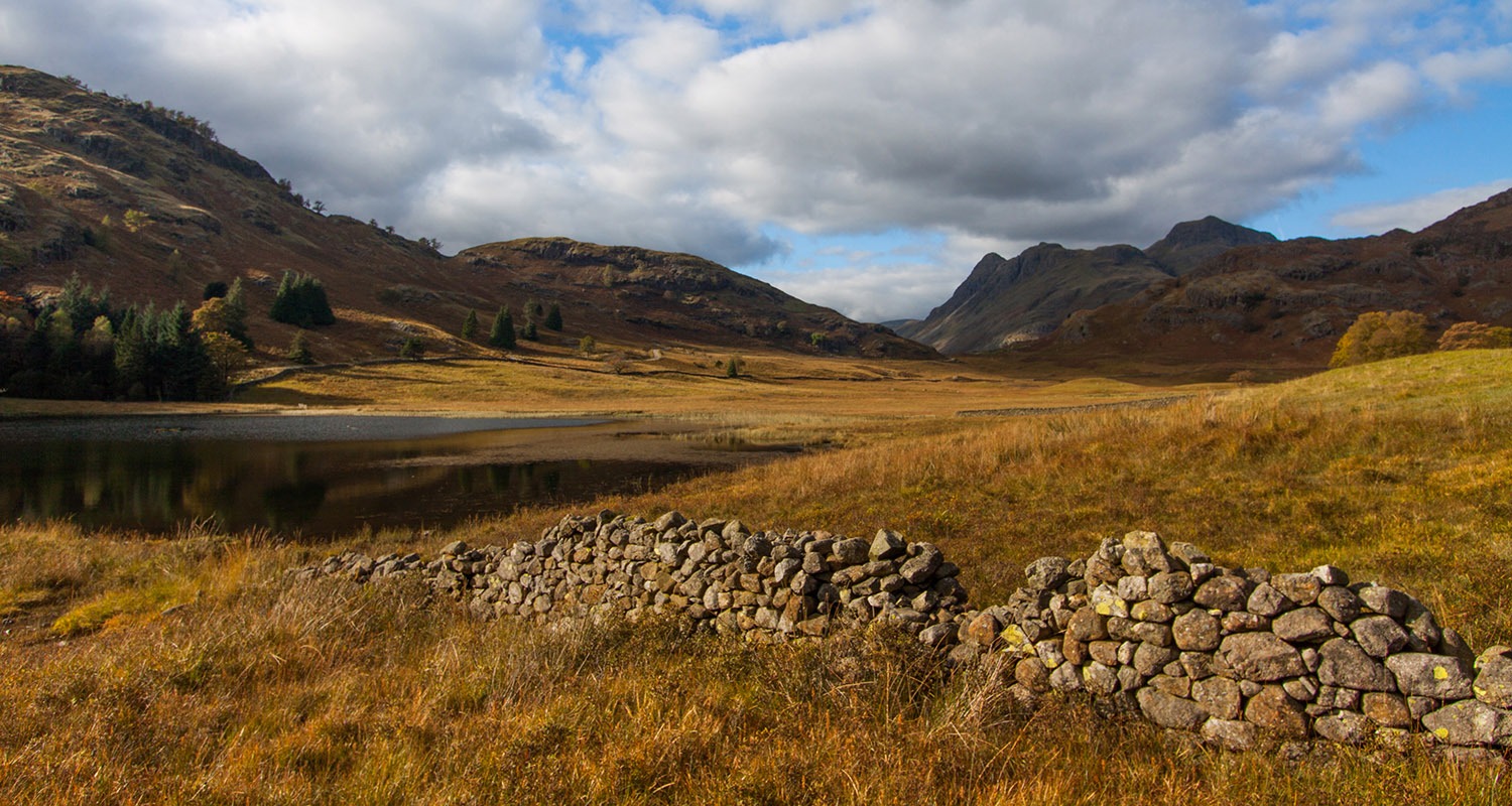 AutumnGrassyHills
